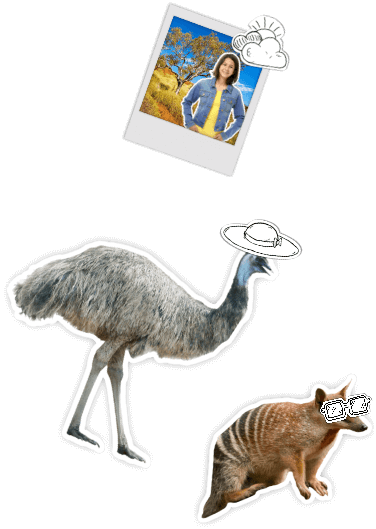 Interactive lessons and games