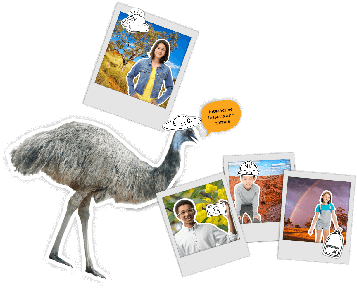 Interactive lessons and games